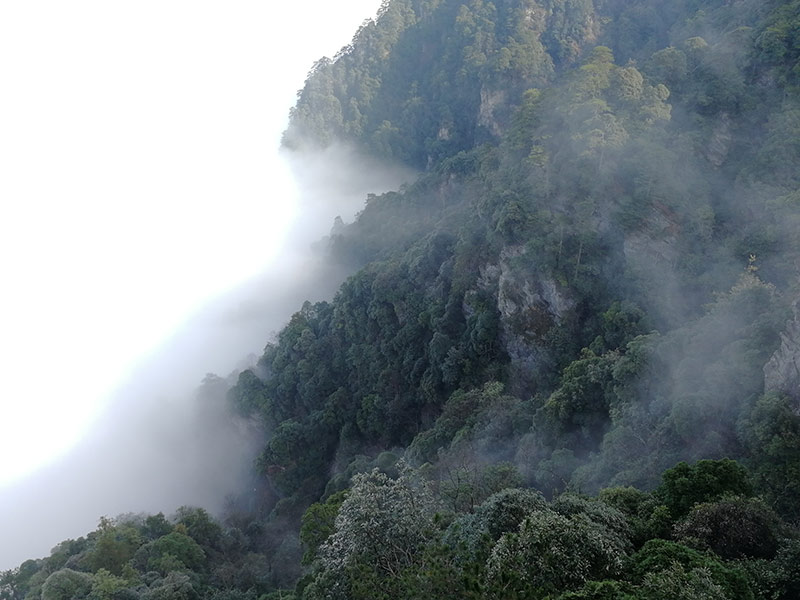 井冈山之行山上风光